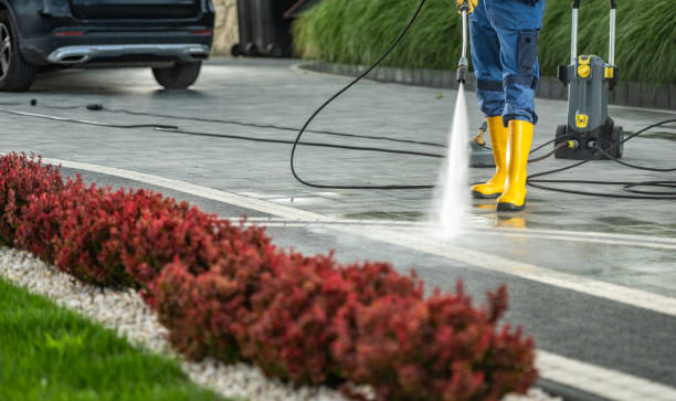 Best Pressure Washing Siding  in Wrightstown, WI