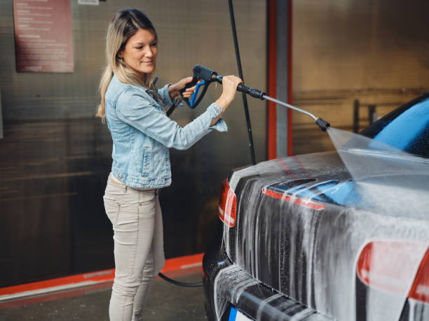 Best House Pressure Washing  in Wrightstown, WI